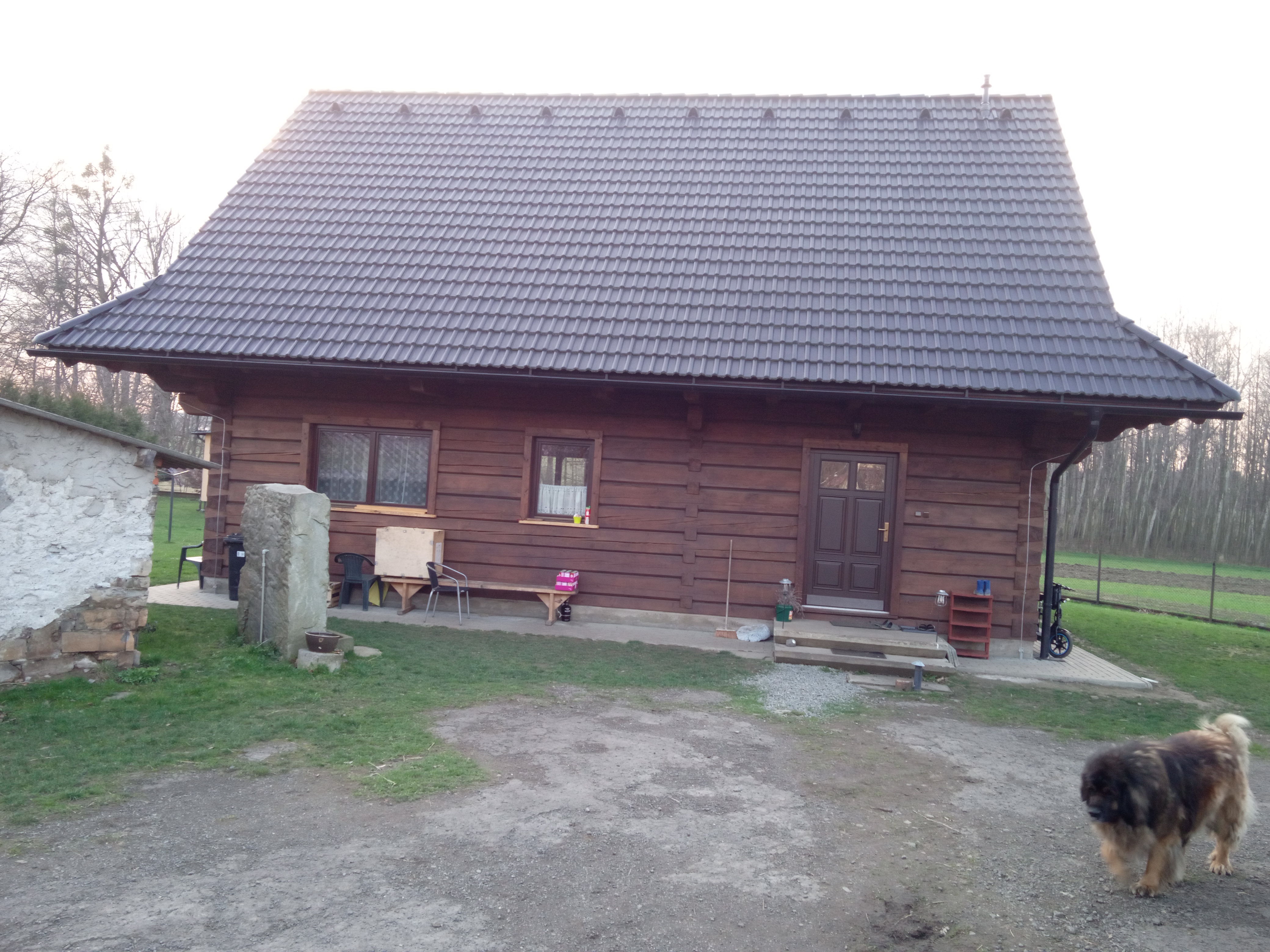 Foto